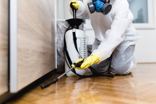 Insect Control in Bowling Green, MD