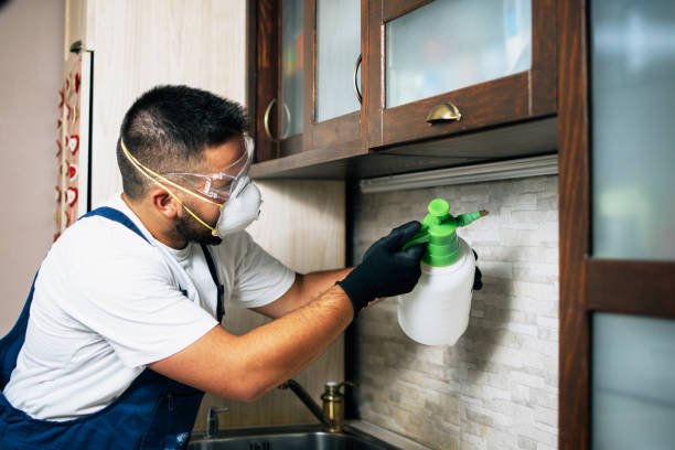 Best Cockroach Control Services  in Bowling Green, MD