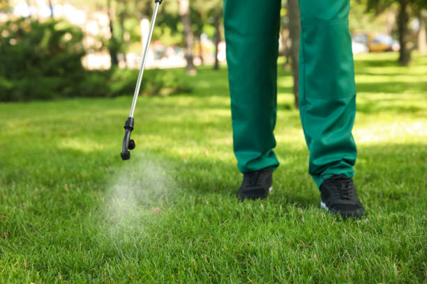 Best Pest Prevention Services  in Bowling Green, MD