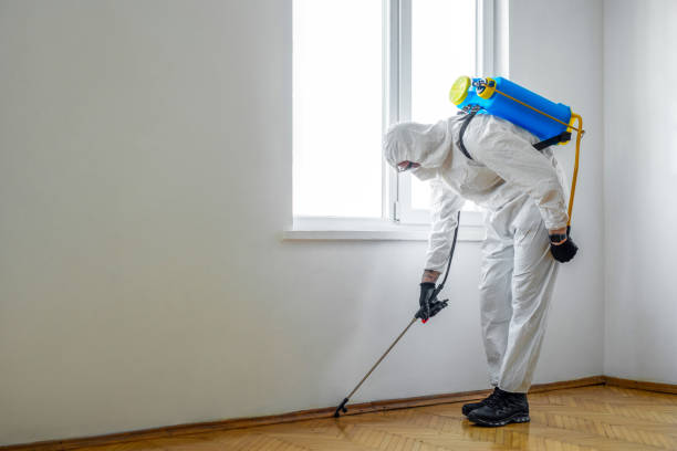 Best Affordable Pest Control Services  in Bowling Green, MD