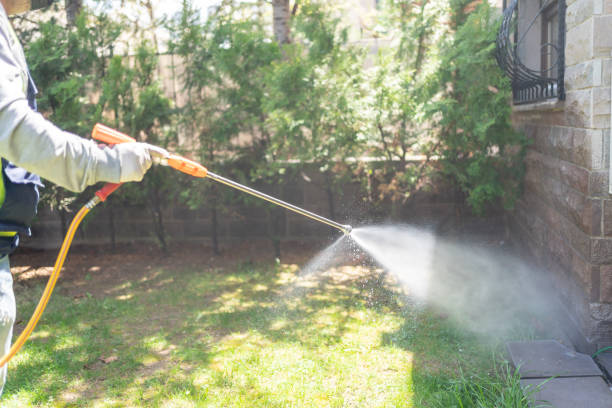 Bird Control in Bowling Green, MD
