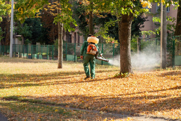Best Pest Removal Services  in Bowling Green, MD