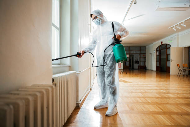 Best Flea Control Services  in Bowling Green, MD