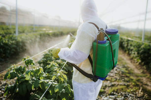 Bowling Green, MD Pest Control Company